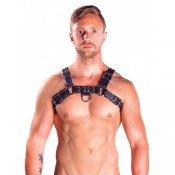 Leather Harnesses